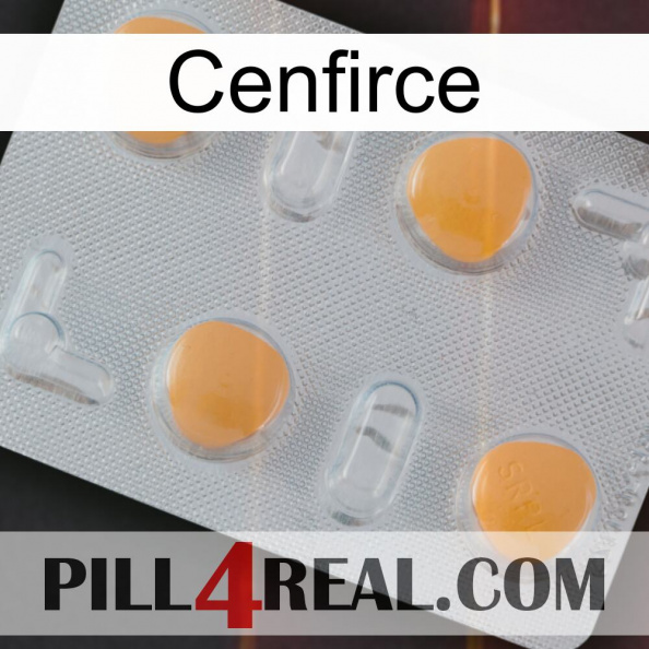 Cenfirce 24.jpg